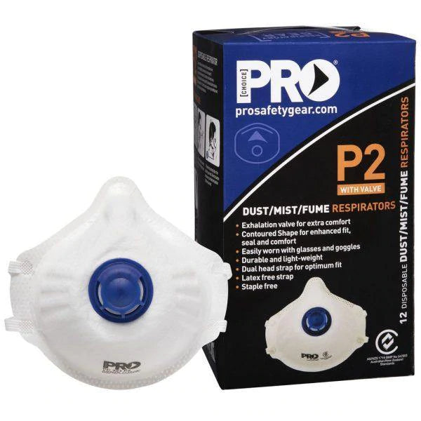 Disposable P2 Mask with Valve